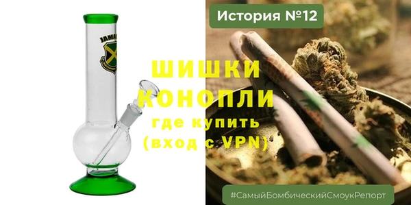 mix Богородицк