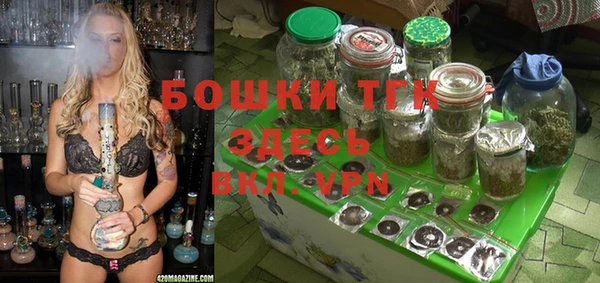 гашиш Богданович