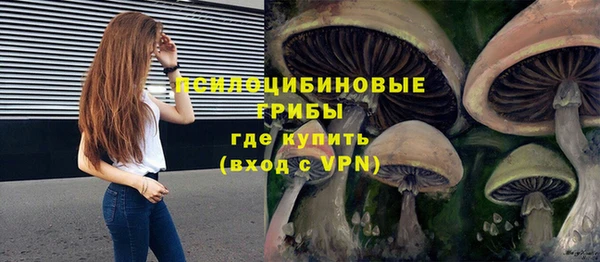 гашиш Богданович