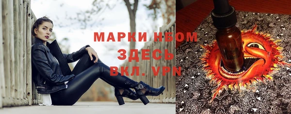 МДПВ Богородск