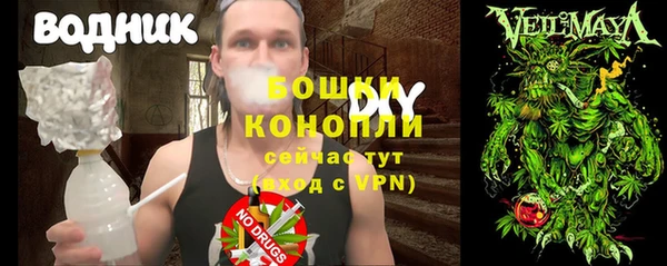 гашиш Богданович
