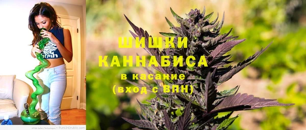 гашиш Богданович