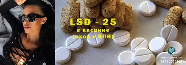 гашиш Богданович