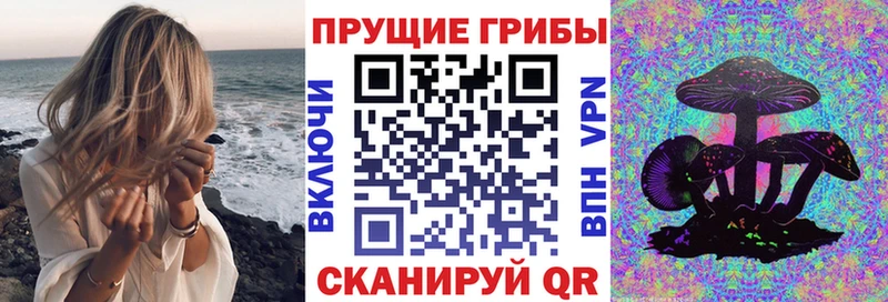 Галлюциногенные грибы мицелий  кракен как войти  Брянск 
