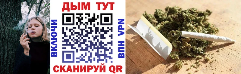 Каннабис Amnesia где можно купить Брянск